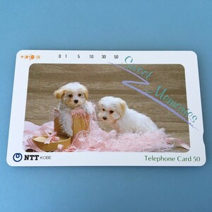 [bcl]/ 未使用 テレホンカード 50度数 /『Sweet Memories / 子犬』/ トイ プードル / テレカ