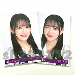 《乃木坂46》公式グッズ 生写真 向井葉月　2枚セミコンプ　ヨリ　monopoly モノポリー CD封入特典　初回特典 限定品 (制服衣装