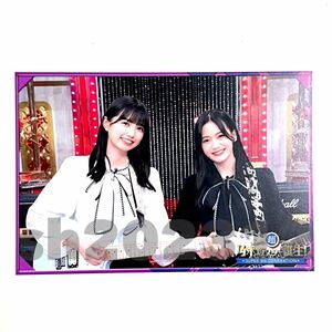 《乃木坂46》公式グッズ 超・乃木坂スター誕生！LIVE開催記念 ポストカード 1点 限定品 奥田いろは 五百城茉央 (生写真× monopoly×