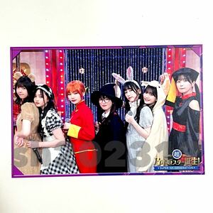 《乃木坂46》公式グッズ 超・乃木坂スター誕生！LIVE開催記念 ポストカード 1点 井上和 池田瑛紗五百城茉央 冨里奈央　小川彩　(生写真×