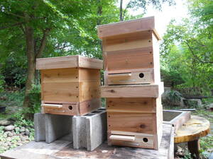 日本ミツバチ 重箱式2段待受箱　お得な3セット！掃除し易くスムシ対策も！(巣箱の取説、捕獲のコツなど参考資料付き)