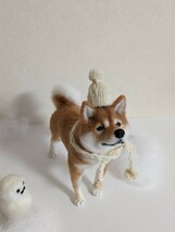 羊毛フェルト　柴犬　豆柴　茶柴　犬　ニット帽子　ハンドメイド　〜ともじろう〜_画像3