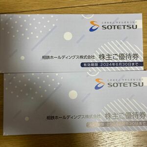 相鉄ホールディングス 株主優待券冊子2冊　2024/6/30まで　送料込み