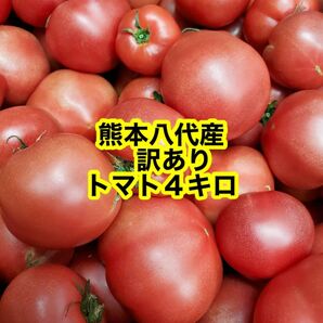 熊本八代産　塩混じりトマト4キロ