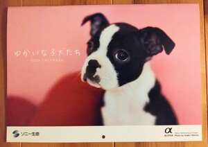 送料無料！ソニー生命 壁掛けカレンダー 2024年 【ゆかいな子犬たち】　いぬ　こいぬ　令和6年