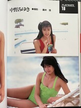 写真集 プレイメイトコレクション アイドルブック 1991年2月 キューティー鈴木 かとうれいこ 柏原芳恵 桂木文 飯島直子 初版発行★W９a2312_画像6