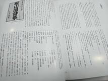 906 二玄社 王鐸の書法 5冊揃 村上三島 條幅篇 巻子篇 琅華館帖 冊篇 中国書道 良品古書_画像10