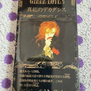 【レア 希少】【ビデオ VHS】即決！◆美品 中古【GILLE' LOVES ジルラヴス / 真紅のデカダンス 初回】■V系 GOTHIC ゴス ポジパンの画像1