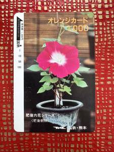 ◆国鉄熊本【１つ穴】◆超美品　肥後六花シリーズ《肥後朝顔》日本国有鉄道　使用済1000円オレンジカード　裏面綺麗　アンティーク 昭和