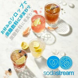 ★☆ 限定品 sodastream ソーダストリーム SPIRIT FAMILY PACK スピリット ファミリーパック 炭酸水 SSM3289 新品未使用未開封 ☆★の画像7