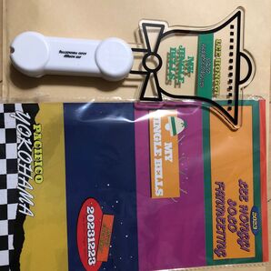 2023.12.23 LEE HONGGI ファンミ ペンライト