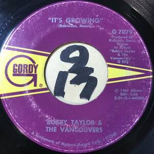 試聴 BOBBY TAYLOR & THE VANCOUVERS IT’S GROWING / MALINDA 両面VG++ SOUNDS EX 