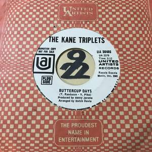 ガールグループ/ソフトロック THE KANE TRIPLETS BUTTERCUP DAYS / SMOKE RINGS VA-Yesterday Has Gone The Songs Of Teddy Randazzo収録