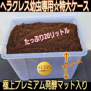 【2ケースセット】プレミアム発酵マット20L入りボックス☆カブトムシ幼虫を入れるだけ☆便利！大型成虫羽化☆コバエ防止特殊フィルター付きの画像4