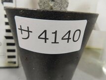 サ4140 「多肉植物I」ユーフォルビア アブデルクリ 植え【Xmas種子イベント・接ぎ木・Euphorbia abdelkuri・美株・発根】_画像3