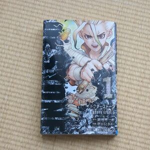 Ｄｒ．ＳＴＯＮＥ　１ （ジャンプコミックス） 稲垣理一郎／原作　Ｂｏｉｃｈｉ／作画