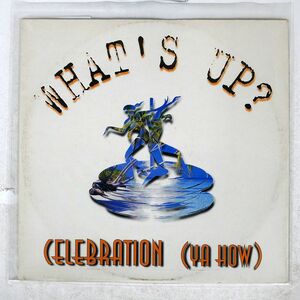 WHAT’S UP?/CELEBRATION (YA HOW)/BLACK VOGUE ENTERTAINMENT EVI031 12