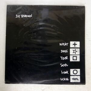 DJ SHADOW/WHAT DOES YOUR SOUL LOOK LIKE/MO WAX MW027 12