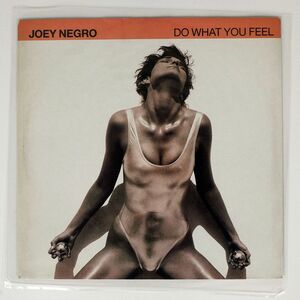 JOEY NEGRO/DO WHAT YOU FEEL/10 TENX391 12