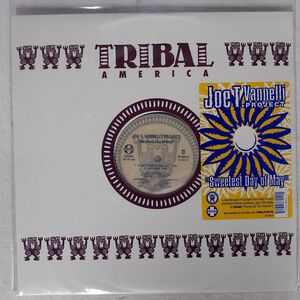 JOE T. VANNELLI PROJECT/SWEETEST DAY OF MAY/TRIBAL AMERICA VV58414 12