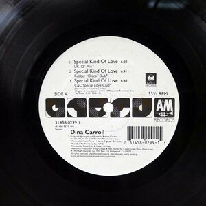 DINA CARROLL/SPECIAL KIND OF LOVE/A&M 3145802991 12