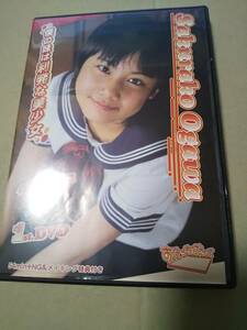 即決あり　小川櫻子　1st DVD　中古正規品DVD