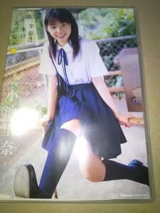 小池里奈　里奈は本日天然なり　中古正規品 DVD