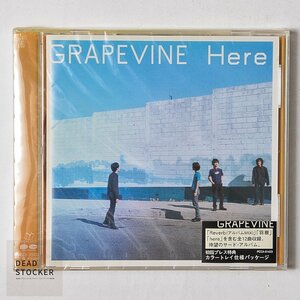 【希少！新品未使用】CD GRAPEVINE ／ Here 初回盤カラートレー仕様 デッドストック