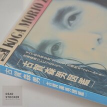 【希少！新品未使用】CD 古賀森男 / 古賀森男図鑑 デッドストック_画像3
