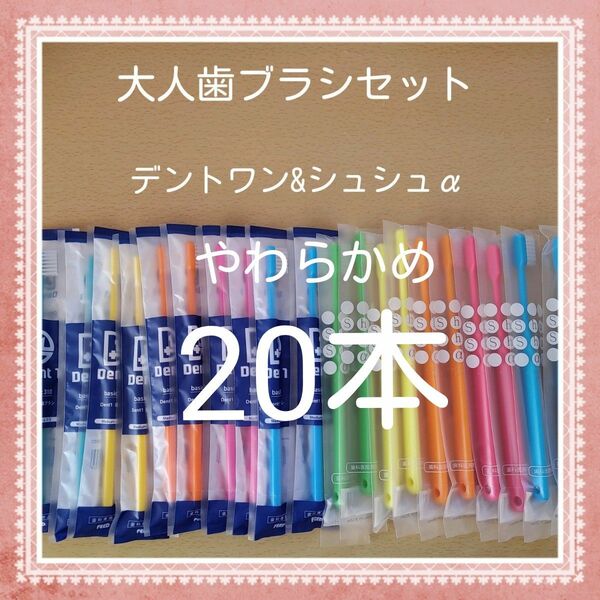 【81】歯科専売　大人歯ブラシ「やわらかめ20本」