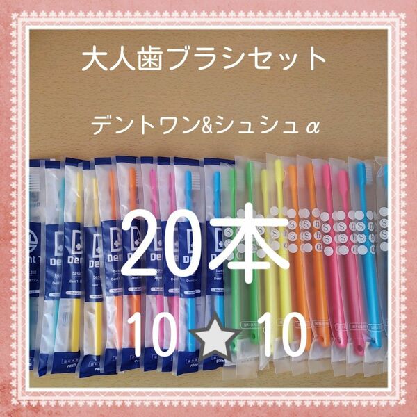 【510】歯科専売　大人歯ブラシ「ふつう20本」