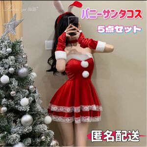 うさ耳 サンタコス レディース 5点セット クリスマス コスプレ 匿名配送 衣装 セクシーランジェリー サンタ 