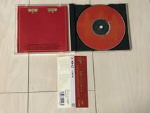 XTC / Nonsuch ノンサッチ ☆ 帯付きオリジナル日本盤、VJCP-28100_画像3