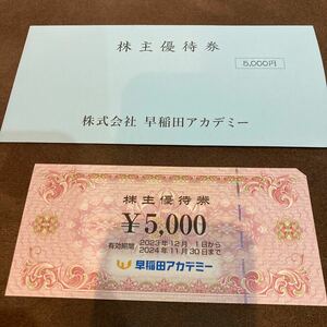 早稲田アカデミー　株主優待券　5000円分　1枚