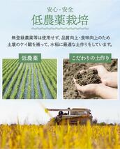 新米　特別栽培米　ななつぼし精米20k 北海道久保農園　令和5年_画像3