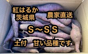 土付き　紅はるか　べにはるか　S・SSサイズ(50〜200g)　10kg さつまいも 茨城県産　10キロ　長期保管向け　追熟　熟成向き