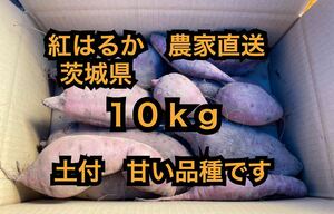 10kg土付き　紅はるか　べにはるか　サイズ形バラバラ(100〜600g) さつまいも 茨城県産　10キロ　訳あり　新物　大きな傷はありません