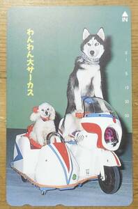 テレホンカード テレカ わんわん大サーカス 50度数