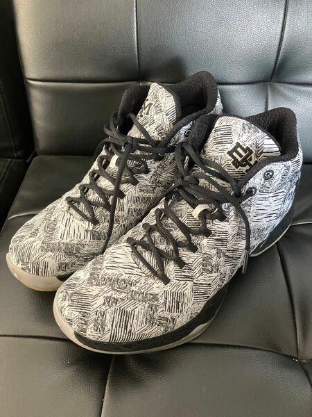 Nike Air Jordan 29 XX9 BHM 29cm ナイキ　ジョーダン