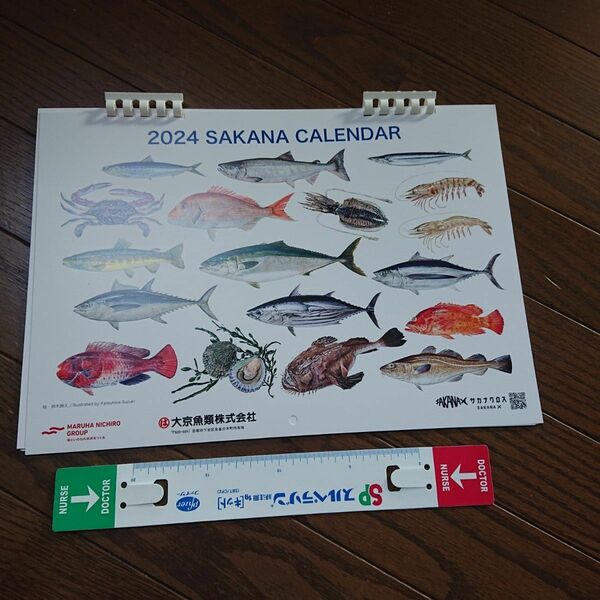 カレンダー リアルな魚カレンダー