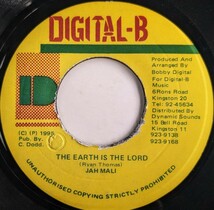 THE EARTH IS THE LORD／JAH MALI_画像1