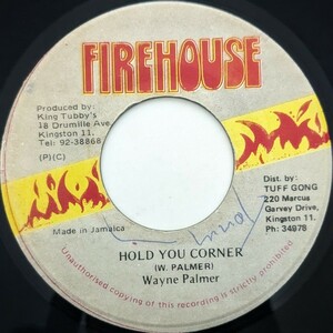 HOLD YOU CORNER／WAYNE PALMER