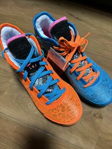 【新品未使用未着用タグ付き】Nike Zoom LeBron NXXT Gen I Promise