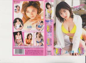 ..*Suger Tree* Showa era Heisei era idol image VHS tape [ exhibition adjustment number 231211*30]