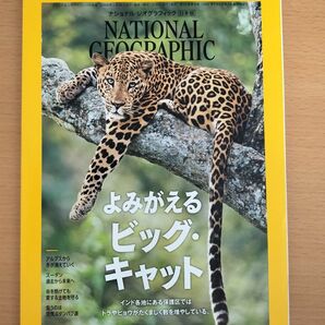 ナショナルジオグラフィック日本版　2022年　3月　よみがえるビッグ・キャット　バックナンバー　新品未読品