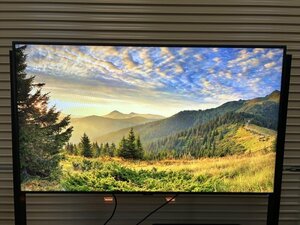 直接引取大歓迎 2020年製 動作品 NEC 55型大画面液晶ディスプレイ LCD-C551 MultiSync C551 55V 55インチ モニター サイネージ リモコン B