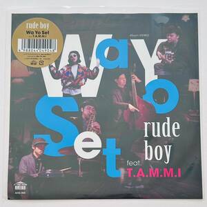 稀少 Wa Yo Set feat. T.A.M.M.I / rude boy (vocal / inst) / レコード DJ KOCO MURO 須永辰緒 小西康陽