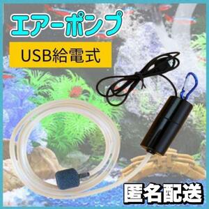エアーポンプ 黒 水槽 魚 エアレーション 小型 USB 持ち運び
