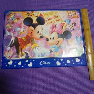 【カレンダー 2024】送140円■ディズニー Disney 壁掛けカレンダー ミッキー ミニーマウス 第一生命