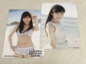 AKB48 渡辺麻友 ラブラドールレトリバー 通常盤封入+パシフィコ横浜 握手会予約購入限定 生写真 2枚セット